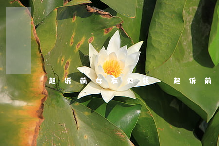 起诉前女友欠钱-起诉前任女友