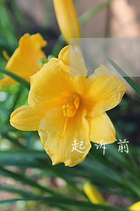 起诉前男友失败（异地起诉前男友欠钱）