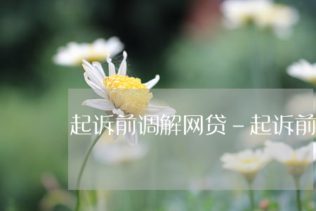 起诉前调解网贷-起诉前调解网贷怎么办