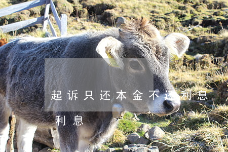 起诉只还本金不还利息-欠钱只还本金不还利息