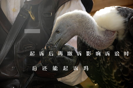 起诉后再撤诉影响诉讼时效吗(诉讼撤诉后,以后还能起诉吗)