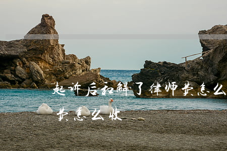 起诉后和解了律师费怎么收费(官司和解律师费怎么收)
