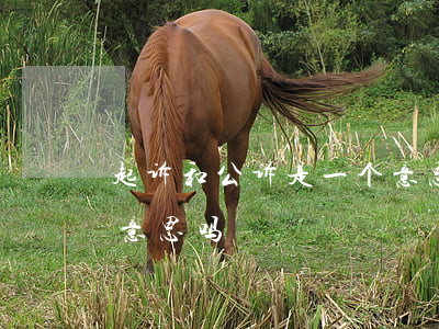 起诉和公诉是一个意思吗(起诉和公诉是一个意思吗)