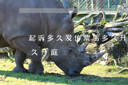 起诉多久发传票后多久开庭(法院发传票后多久开庭)