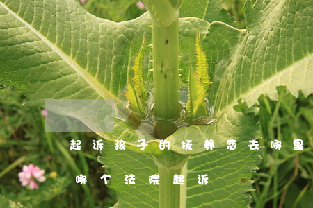 起诉孩子的抚养费去哪里起诉(起诉抚养费到哪个法院起诉)