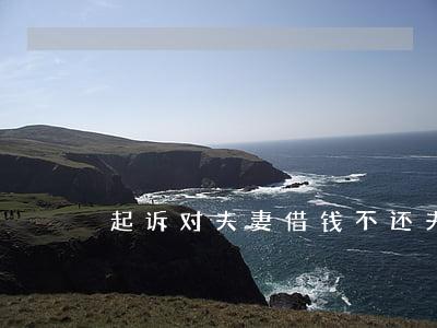 起诉对夫妻借钱不还(夫妻之间起诉借款)