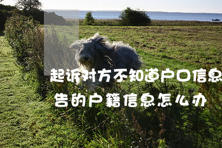 起诉对方不知道户口信息怎么办(起诉需要被告的户籍信息怎么办)