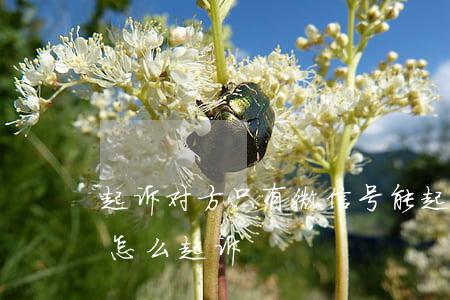 起诉对方只有微信号能起诉吗（只有被告微信怎么起诉）