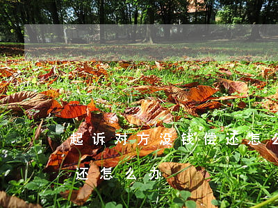 起诉对方没钱偿还怎么办(被起诉但是没钱偿还怎么办)