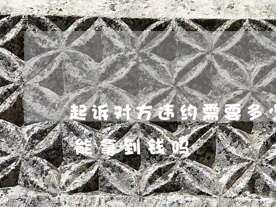 起诉对方违约需要多少钱(合同违约起诉一定能拿到钱吗)