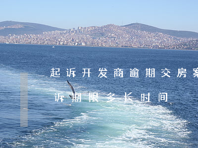 起诉开发商逾期交房案由(开发商逾期交房起诉期限多长时间)