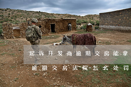 起诉开发商逾期交房能拿到违约金吗（开发商逾期交房法院怎么处罚）