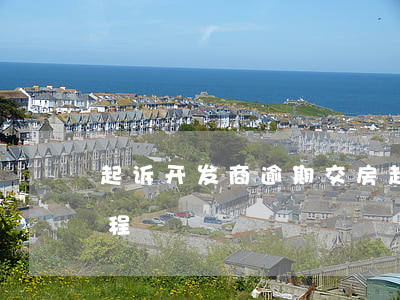起诉开发商逾期交房(起诉开发商逾期交房流程)