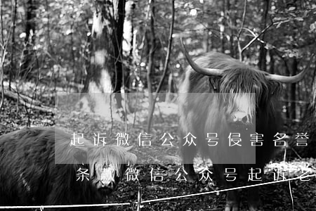 起诉微信公众号侵害名誉权会用到哪些法律条款（微信公众号起诉老板）