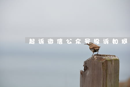 起诉微信公众号投诉(如何起诉微信公众号)