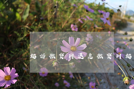 起诉微贷网退息(微贷网起诉 法院利息怎么算)