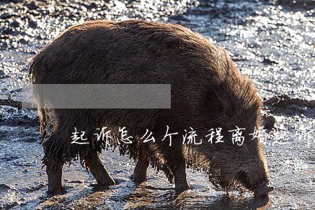 起诉怎么个流程(离婚起诉怎么个流程)