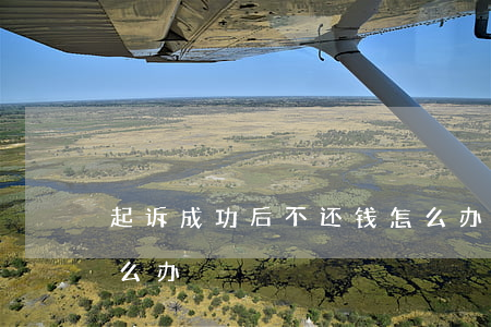 起诉成功后不还钱怎么办(起诉以后不还钱怎么办)