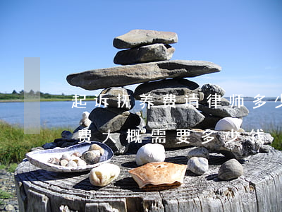 起诉抚养费请律师多少钱(起诉抚养费的律师费大概需要多少钱)