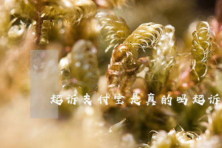 起诉支付宝是真的吗(起诉支付宝在哪里起诉)