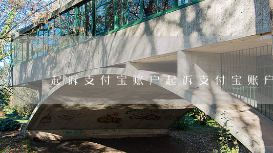 起诉支付宝账户(起诉支付宝账户被冻结)