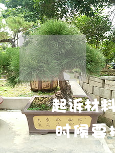 起诉材料和立案材料是一回事吗(起诉立案的时候要把所有证据都提交吗)