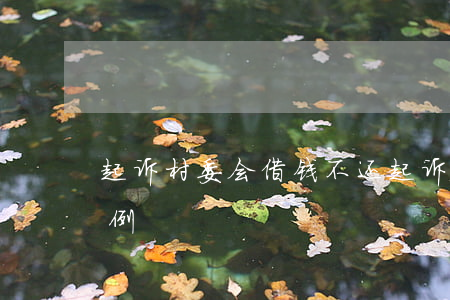 起诉村委会借钱不还(起诉村委会欠钱不还案例)