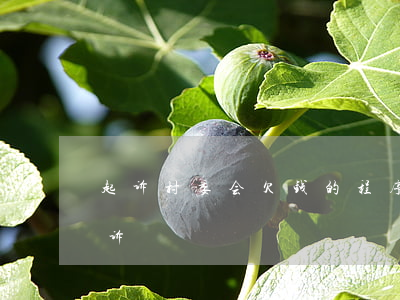 起诉村委会欠钱的程序-起诉村委会怎么起诉