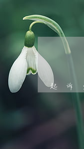 起诉查微信流水-法院起诉微信记录证据