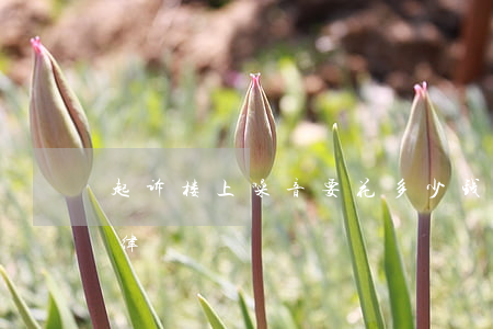 起诉楼上噪音要花多少钱(关于楼上噪音的法律)