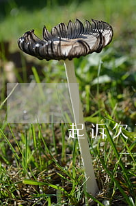 起诉欠工资诉状的样本(欠工资诉状怎么写)