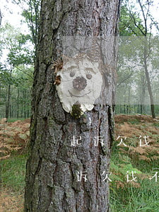 起诉欠钱不还开庭需要双方当事人到场吗（起诉欠钱不开庭审理）