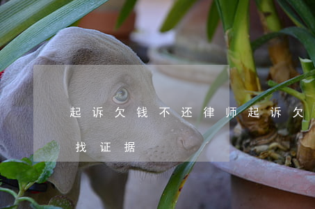 起诉欠钱不还律师(起诉欠钱不还律师会帮你找证据)