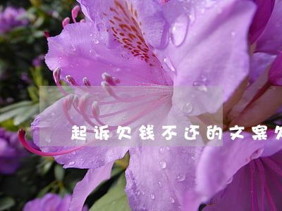 起诉欠钱不还的文案 欠钱不还起诉文本