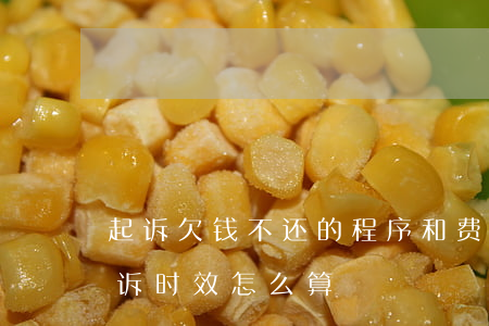 起诉欠钱不还的程序和费用时间(欠钱不还起诉时效怎么算)