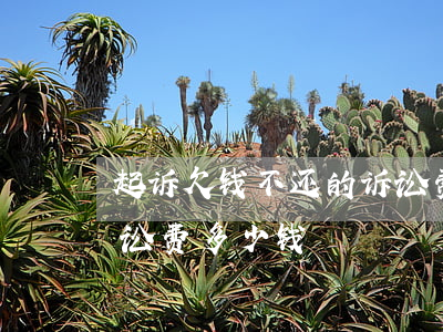 起诉欠钱不还的诉讼费-起诉欠钱不还的诉讼费多少钱