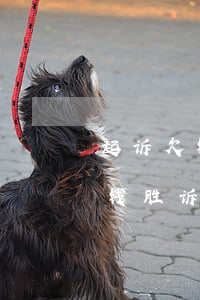 起诉欠钱不还胜诉后,要在多久没还清债务（欠钱胜诉期和起诉期）