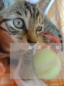 起诉欠钱不还起诉地(起诉欠钱不还起诉地)