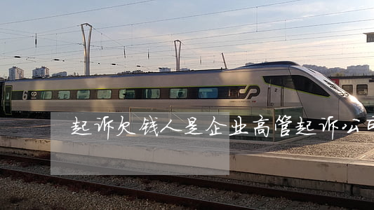 起诉欠钱人是企业高管(起诉公司高管)