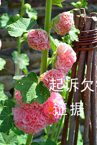 起诉欠钱人注意什么(起诉欠钱的人需要什么证据)