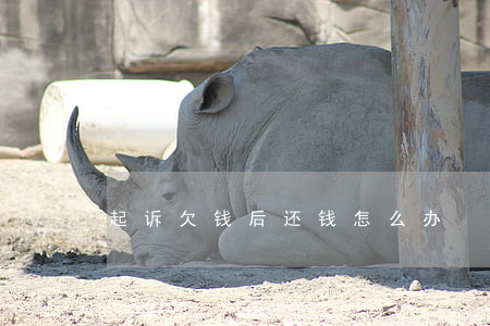 起诉欠钱后还钱怎么办