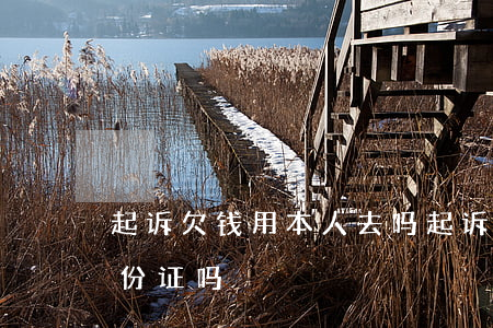 起诉欠钱用本人去吗 起诉欠款人需要对方身份证吗