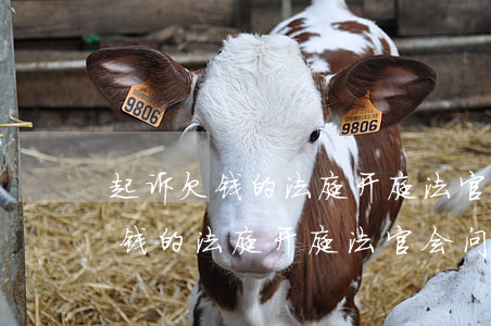 起诉欠钱的法庭开庭法官会问什么-起诉欠钱的法庭开庭法官会问什么问题
