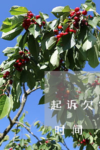 起诉欠钱者法院程序(起诉欠款流程需要多长时间)