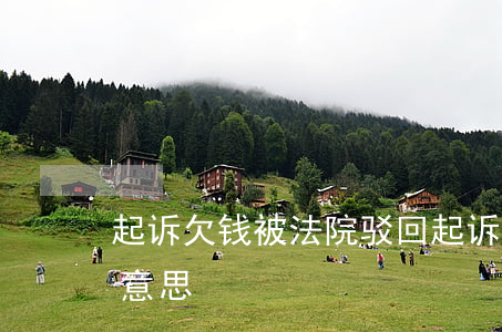 起诉欠钱被法院驳回(起诉后法院驳回是什么意思)