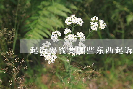 起诉欠钱要哪些东西(起诉欠钱需要哪些材料)