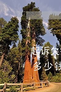 起诉欠钱请律师费用(欠款起诉请律师需要花多少钱)