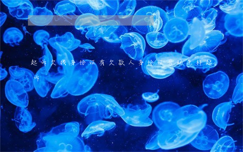 起诉欠钱身份证(有欠款人身份证号码怎样起诉)