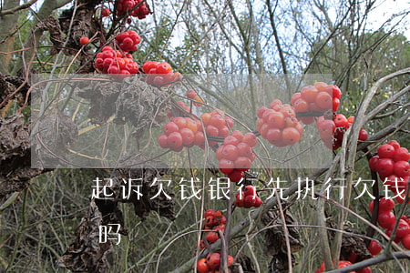 起诉欠钱银行先执行 欠钱起诉执行后会拘留吗