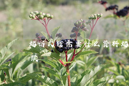 起诉欠钱需要什么资料(起诉欠钱需要什么手续)